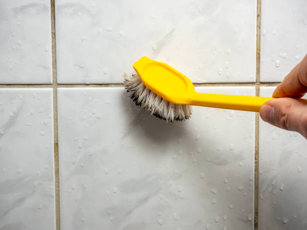 Best Commercial Mold Removal  in Moosup, CT