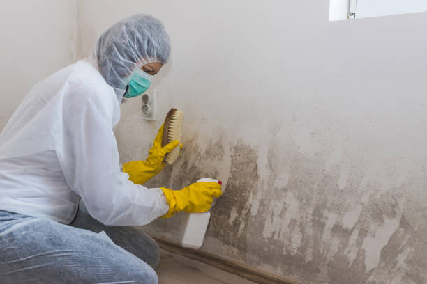 Best Residential Mold Removal  in Moosup, CT