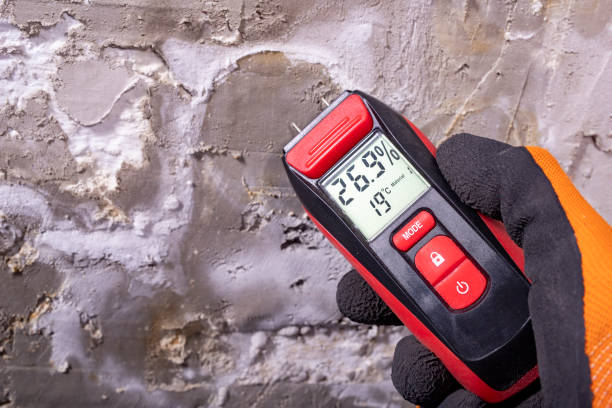 Best Mold Remediation Services  in Moosup, CT