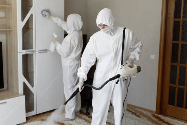 Best Black Mold Removal  in Moosup, CT