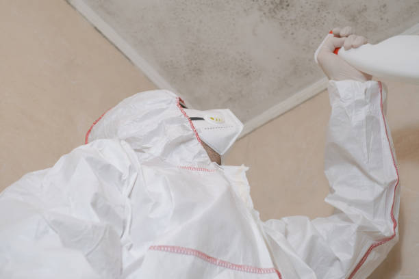 Best Home Mold Removal  in Moosup, CT