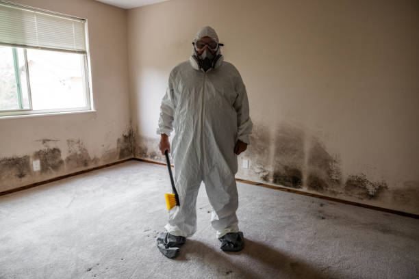 Best Certified Mold Removal  in Moosup, CT